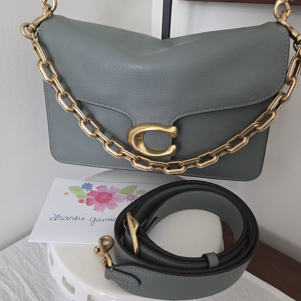 Coach Chain Tabby NWT Sage